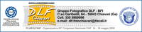 ../uploaded_files/attachments/201105081304866901/logodlf_small.jpg