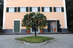 Villa Rimassa