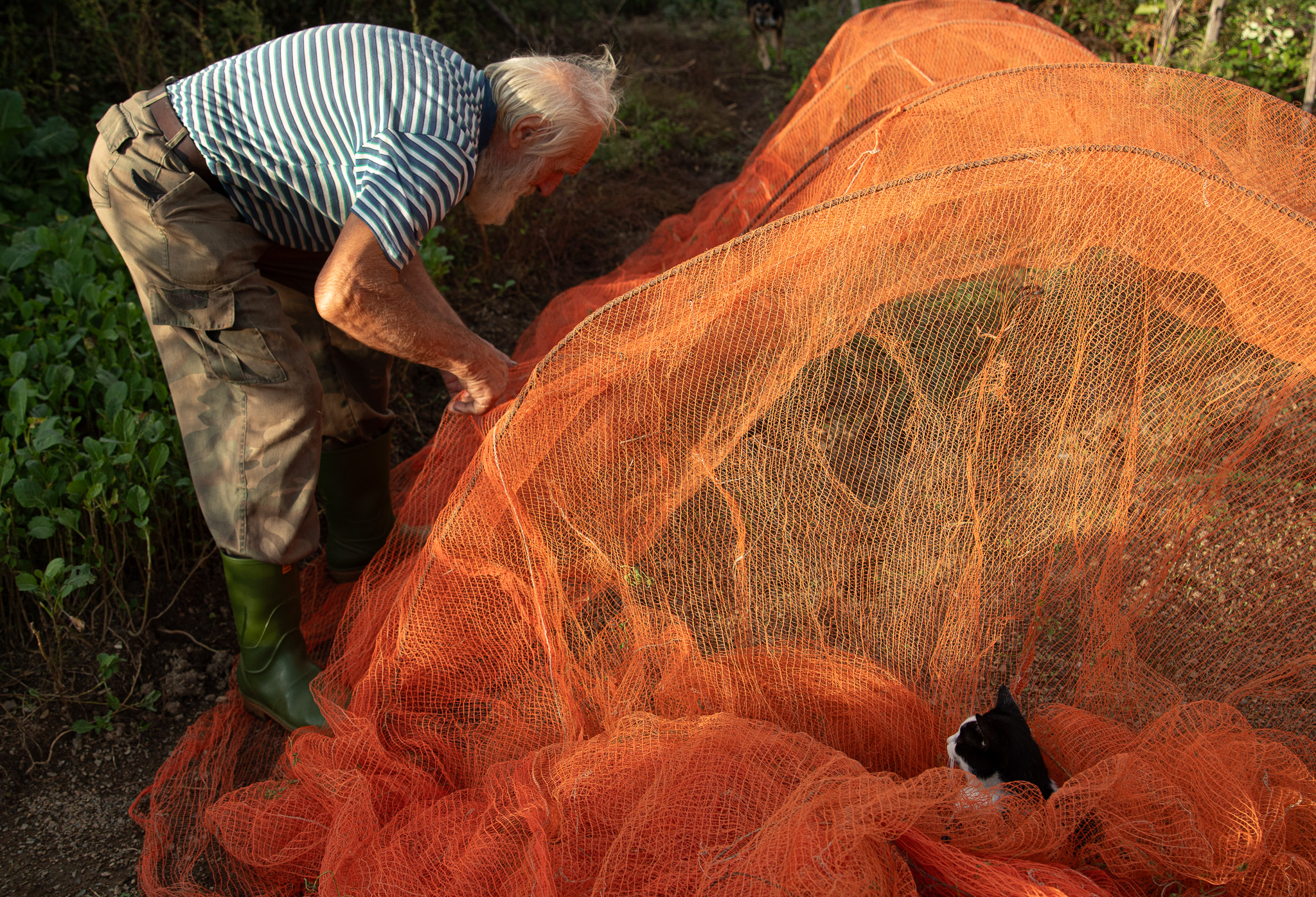 Mostra Pane Olio 2025