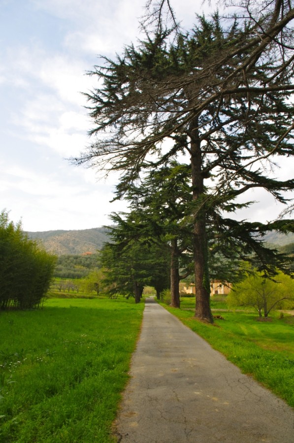 Isabella Tholozan - Villa Rimassa