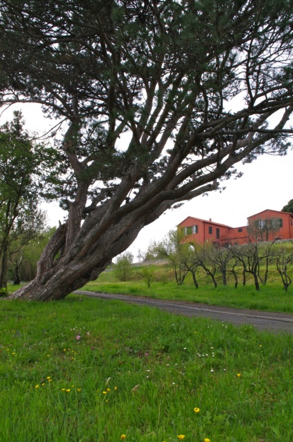 Isabella Tholozan - Villa Rimassa