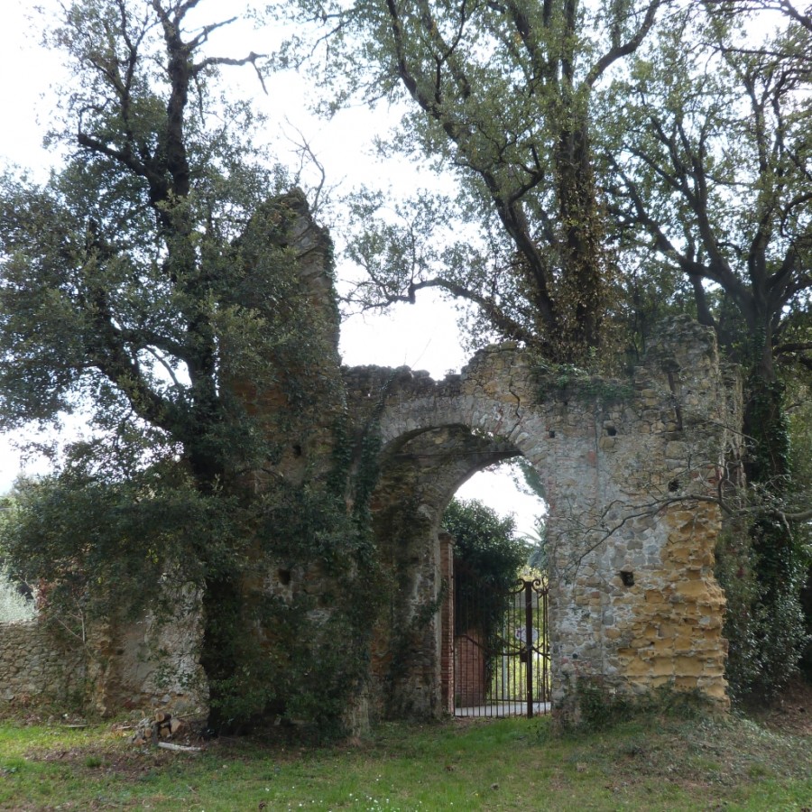 Federico Cuneo - Verso Villa Rimassa