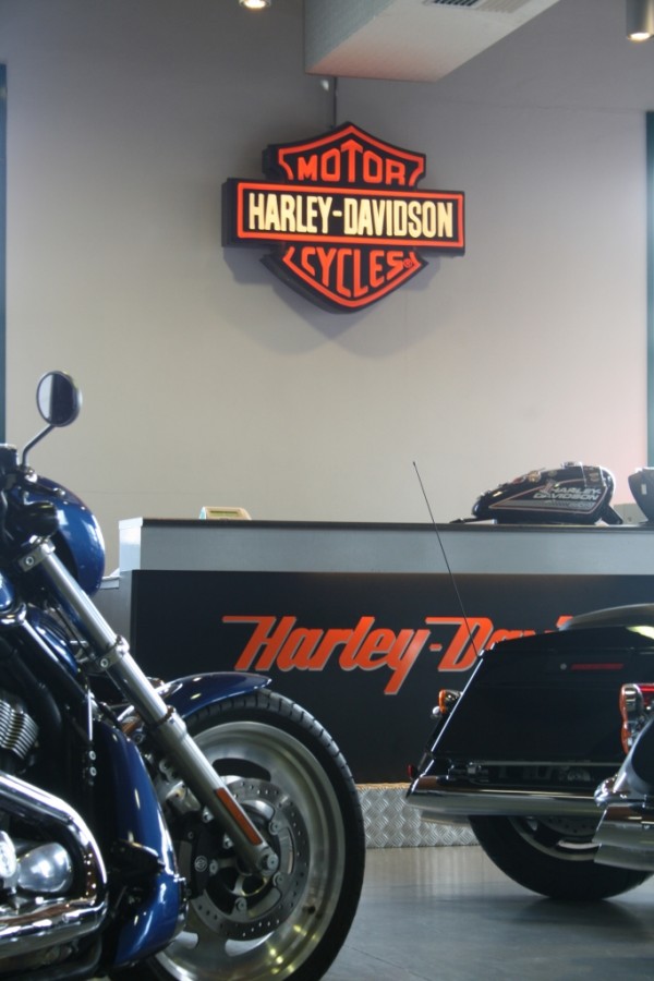 Marco Massara - Harley Davinson