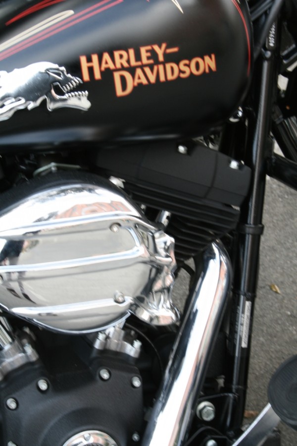 Marco Massara - Harley Davinson
