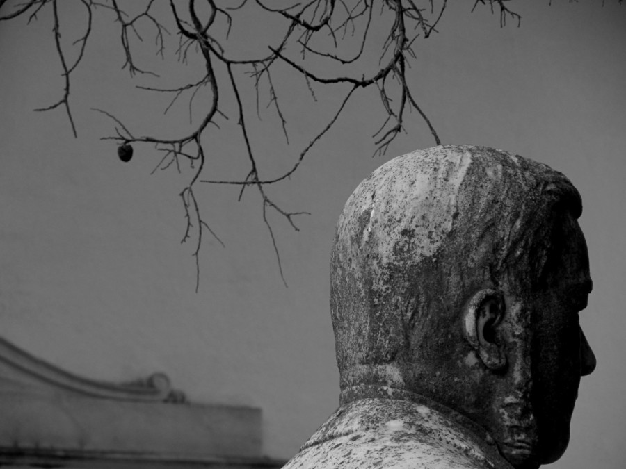 Simona Coldani - In silente attesa