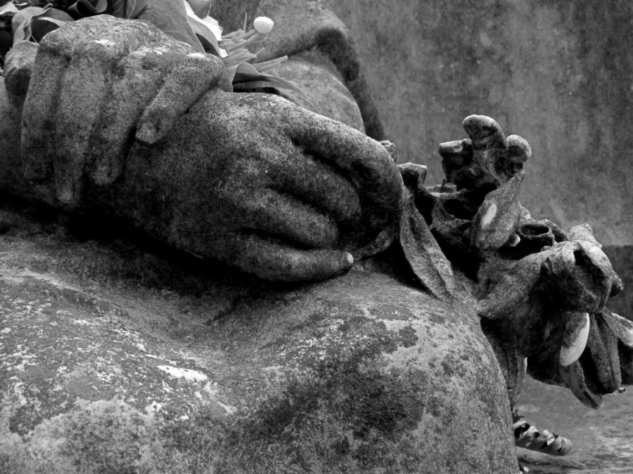 Simona Coldani - In silente attesa