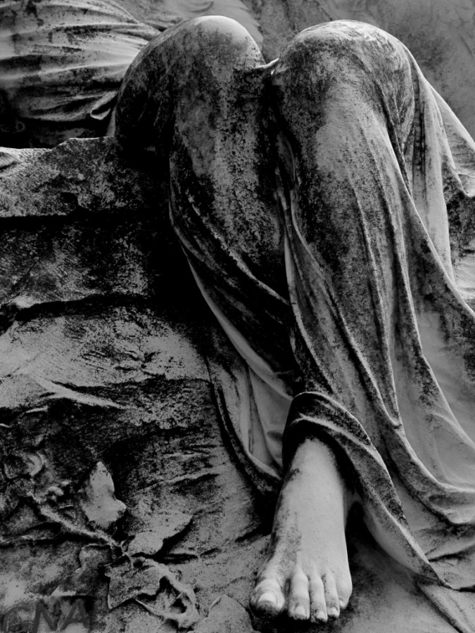 Simona Coldani - In silente attesa