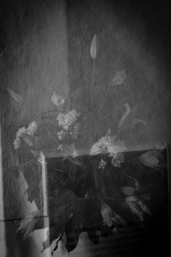 Alessia Lombardi - Mute presenze