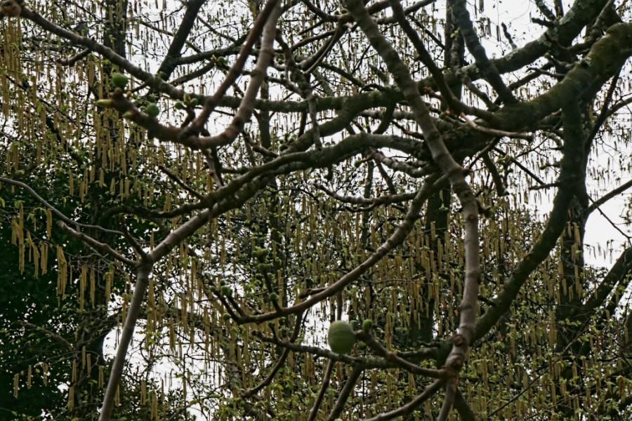 Giovanna Picceri - Nel parco di Villa Rimassa