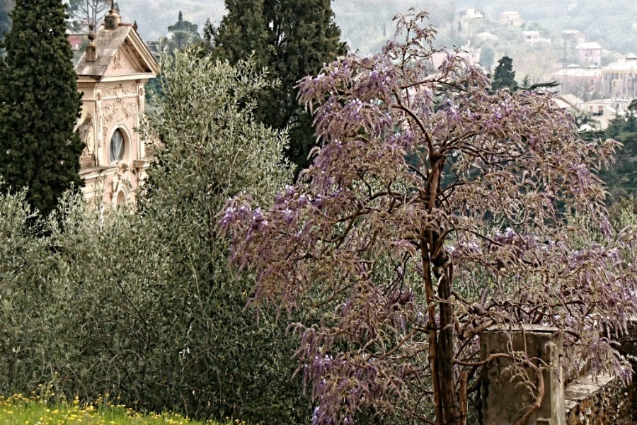 Giovanna Picceri - Nel parco di Villa Rimassa