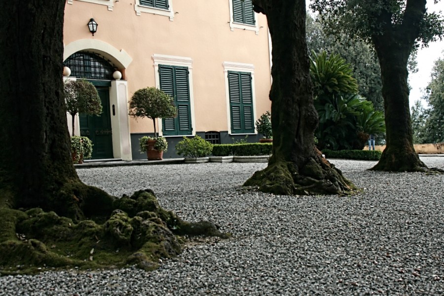 Giovanna Picceri - Nel parco di Villa Rimassa