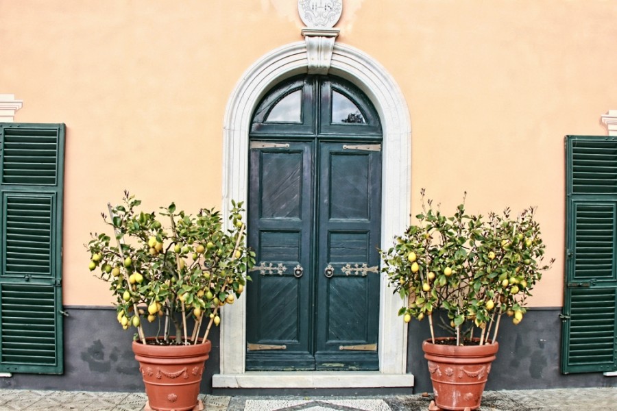Giovanna Picceri - Nel parco di Villa Rimassa