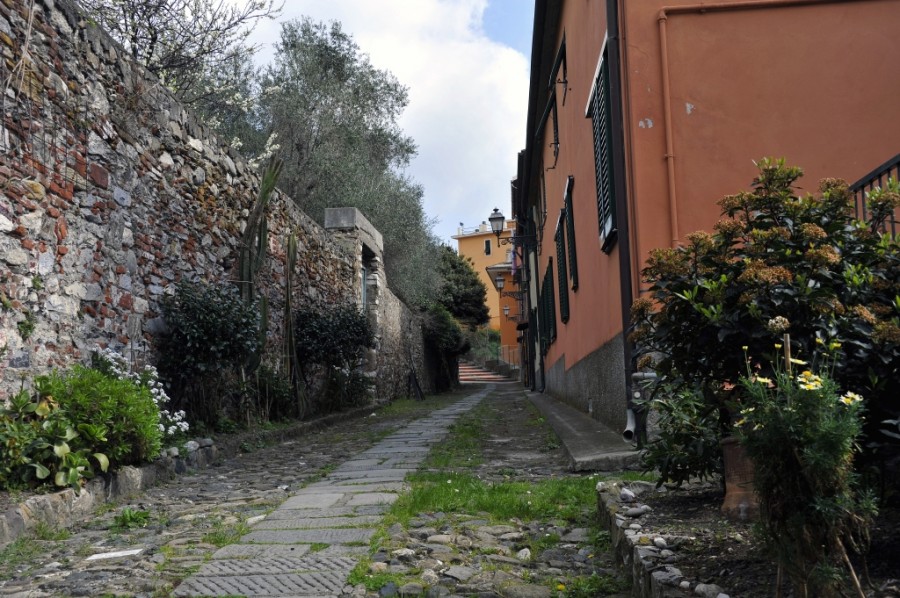 Renzo Del Buono - Borgo Trigoso