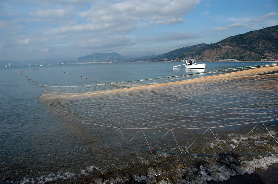 Foto Roberto Montanari