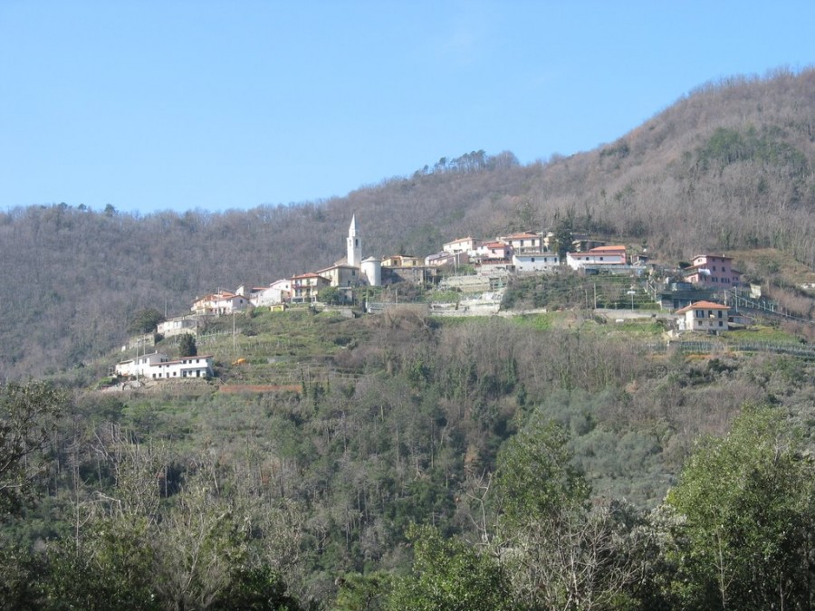 Villa Loto (foto Panoramio)
