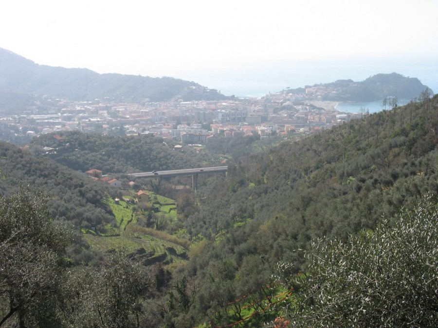 Panorama da San Bernardo (foto Panoramio)