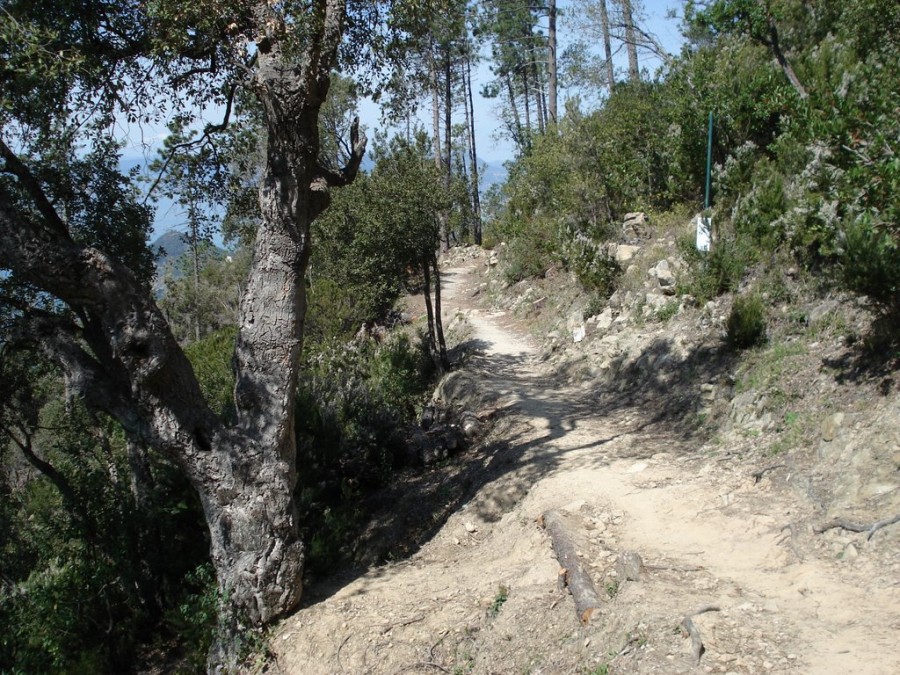 Lungo il sentiero di Puna Manara (foto Panoramio)