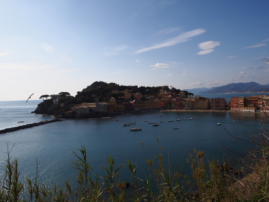 Vista delle due baie