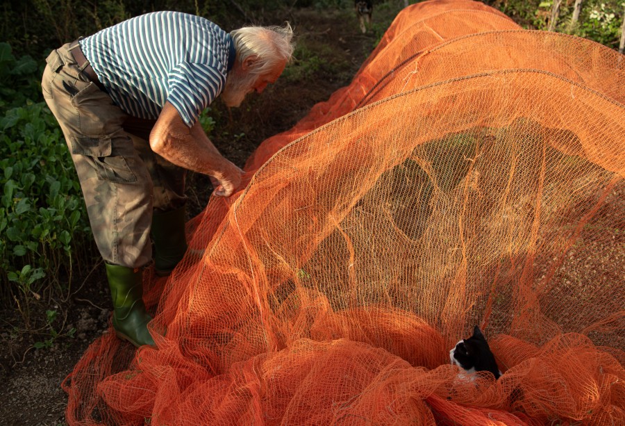 Pane e Olio 2025 - 1&deg; classificato concorso "Vota la foto"